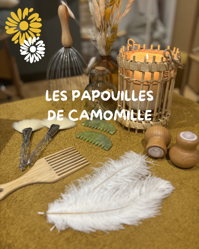 activityfamilies 1 20260212161144